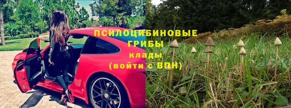 мяу мяу мука Алексеевка