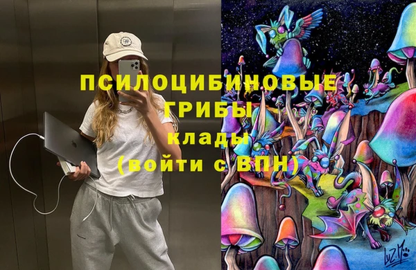мяу мяу мука Алексеевка