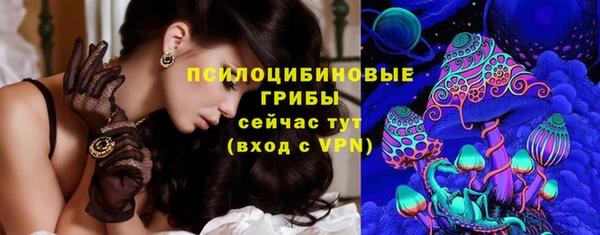 прущая мука Абаза