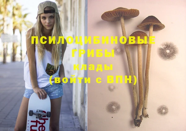 герыч Алексин